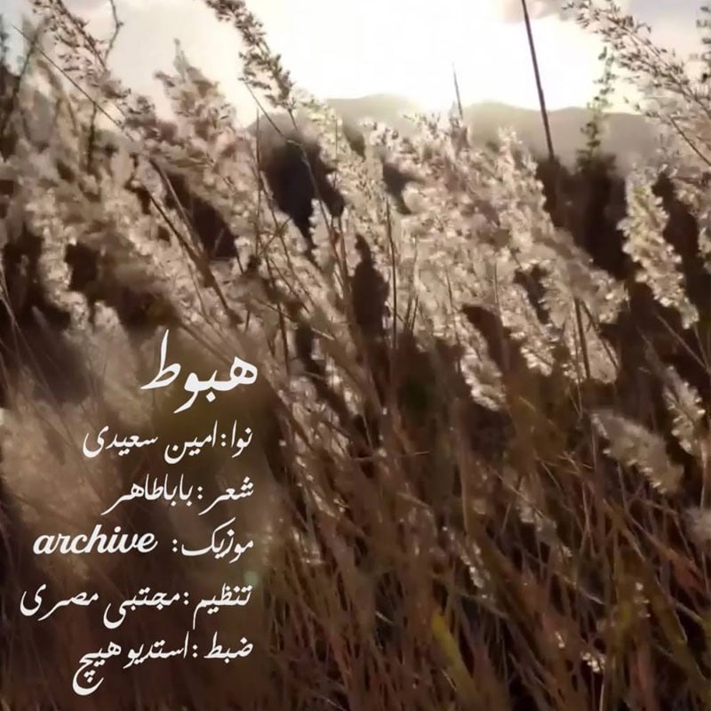 دانلود آهنگ امین سعیدی هبوط